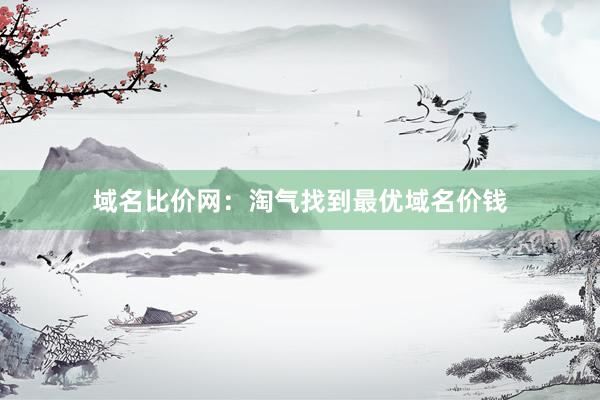 域名比价网：淘气找到最优域名价钱