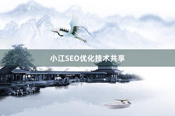 小江SEO优化技术共享